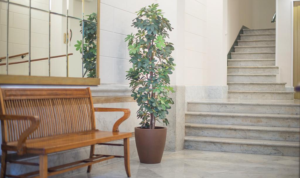 Anakena House Bed & Breakfast Barselona Dış mekan fotoğraf